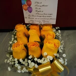 Caja por 9 rosas R03